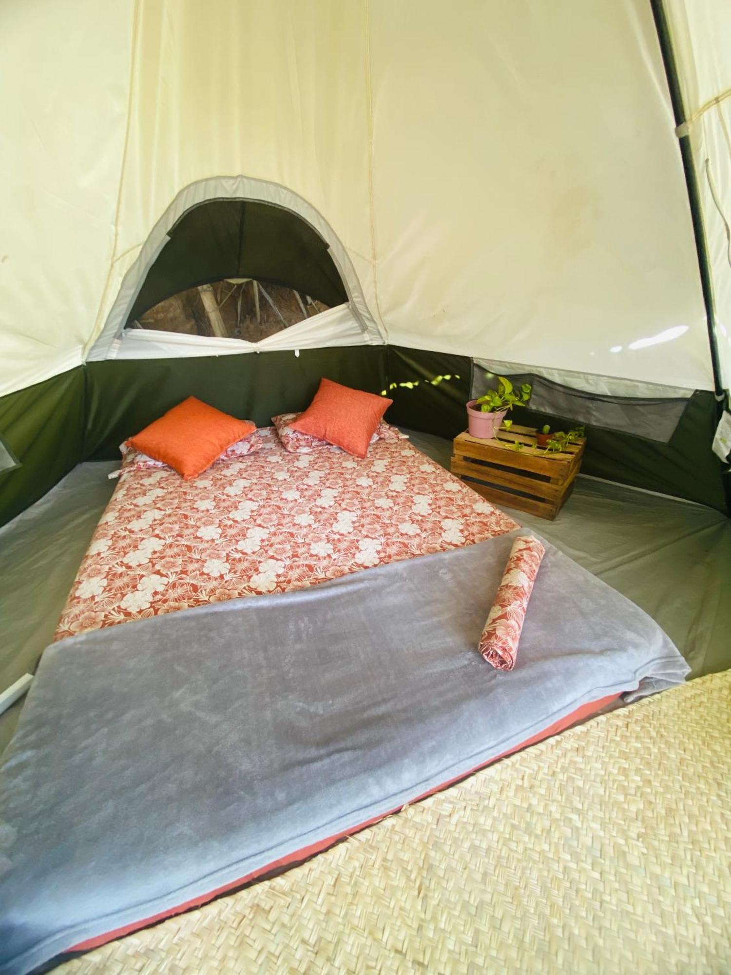 Campo de lujo Bajo Estrellas Eco Glamping