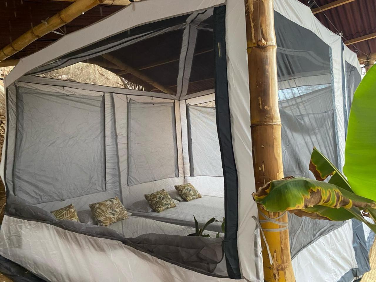 Bajo Estrellas Eco Glamping *